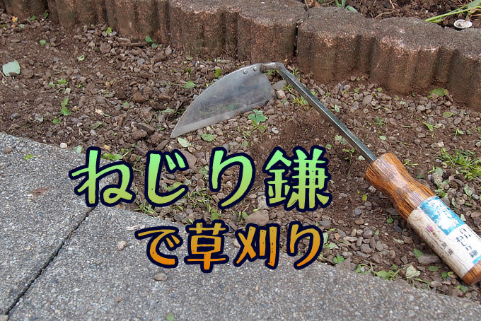 ねじり鎌で楽しい草刈り